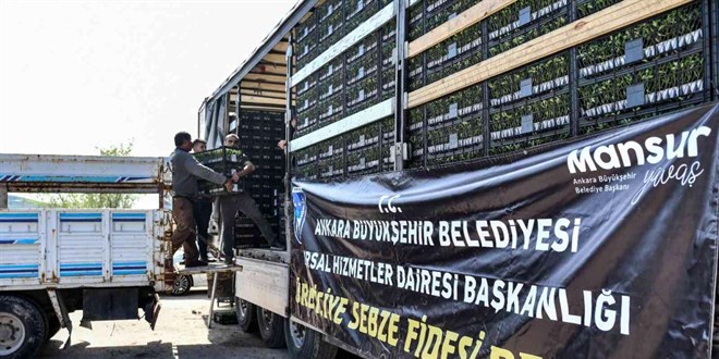 Belediyenin annesine hibe ettiği sebze fidelerini sattı