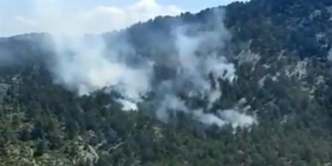 Antalya'da iki noktada orman yangını çıktı