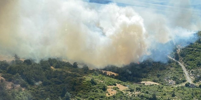 İzmir'de iki noktada çıkan orman yangınları kontrol altında