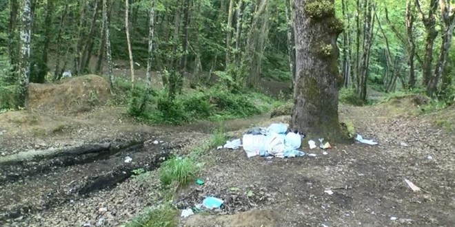 Belgrad Ormanı'nda hafta sonu yoğunluğu: Çöplerini geride bıraktılar