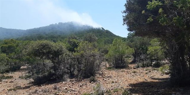 Muğla ve Mersin'de çıkan orman yangınları kontrol altında