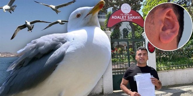 6 yıllık 'kulak' davası: Kavgada kopan kulağını martı alıp götürmüştü