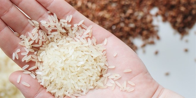 Rusya, pirinç ihracatını yasaklamaya hazırlanıyor