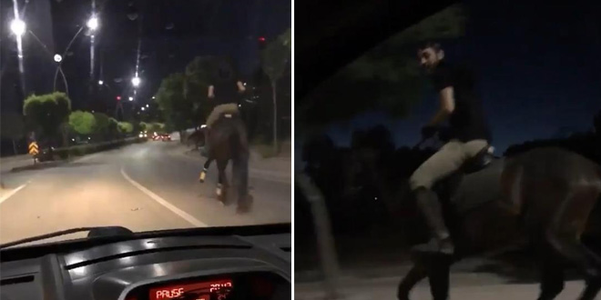Trafikte atla yarıştı, araç sürücüsü ise spiker gibi anlattı