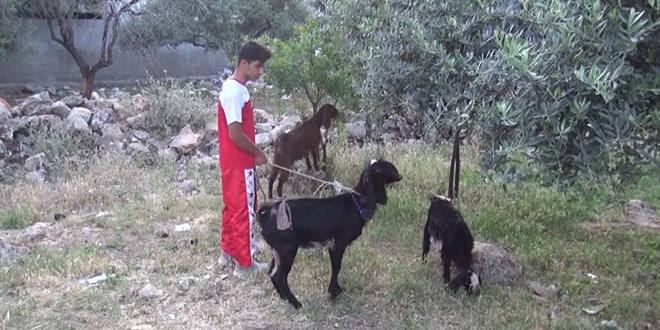 Çobanlık yapan dünya kupası ikincisi kick boksçunun yeni hedefi Avrupa şampiyonluğu