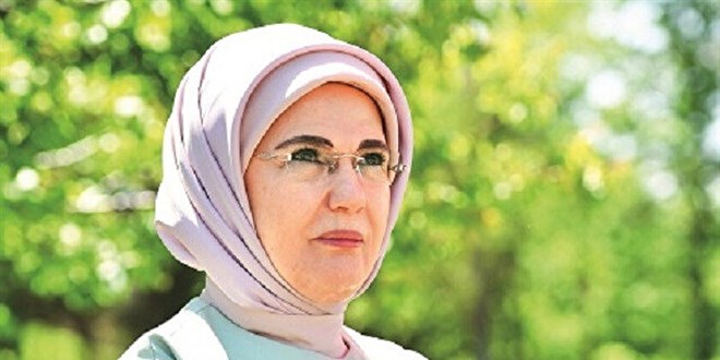 Ağacın hikayesi böyle bitmesin