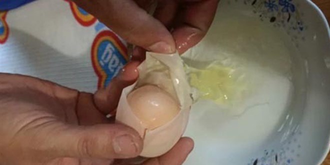 Şaşkına çeviren olay...Yumurtanın içinden yumurta çıktı!