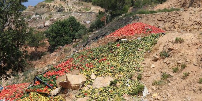 Çöpe dökülen sebzelerle ilgili inceleme başlatıldı