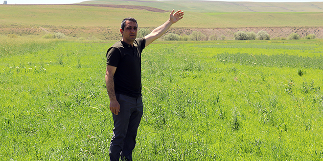 Taner öğretmen, Ağrı kırsalında ekilmeyen iki araziyi tarıma kazandırdı