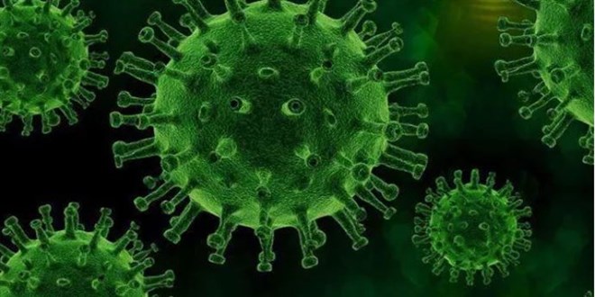 Vakalar 1 haftada y�zde 150 artt�