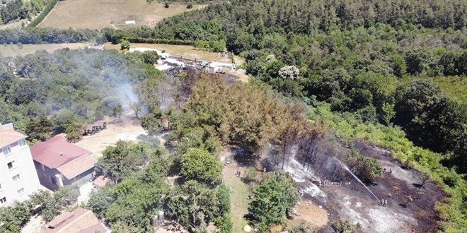 Beykoz'da korkutan orman yangını: Alevler evlerin bahçesine sıçradı