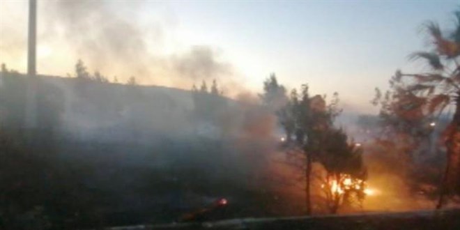 Ormanı 'keyfi' için yakan şüpheli tutuklandı