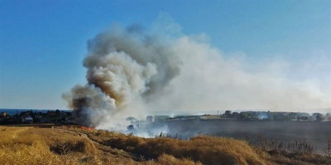 Silivri'de 150 dönümlük buğday tarlası yandı
