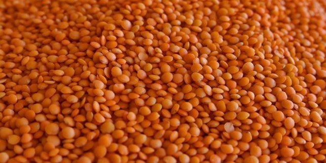 Kabuklu kırmızı mercimek alım fiyatı ton başına 14 bin lira oldu