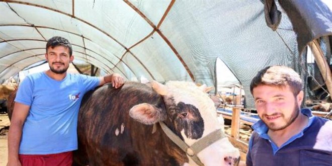 Kurban pazarları, ulaşım giderine yenik düştü