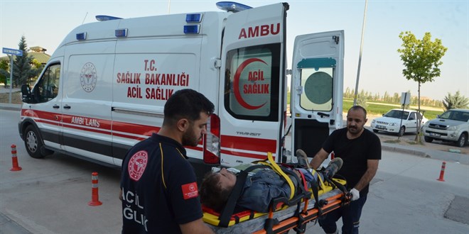 Konya, Karaman, Aksaray ve Afyonkarahisar'da acemi kasaplar hastanelik oldu