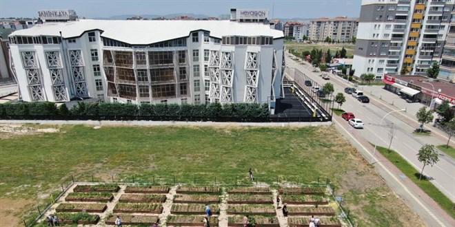 Milyonluk evlerin arasında tarımla uğraşıyorlar