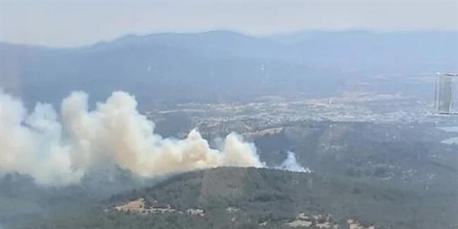 Bodrum'da ormanlık alanda çıkan yangın söndürüldü