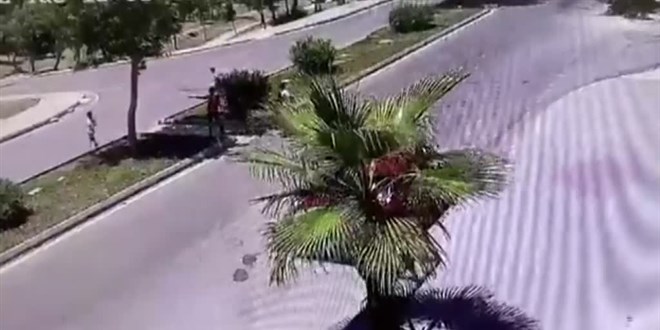 Mersin'de sahipsiz köpeklerden kaçan 2 çocuğa otomobil çarptı