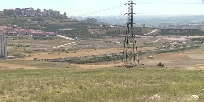 Milli Eğitim Bakanlığı öğretmenler için hatıra ormanı oluşturacak