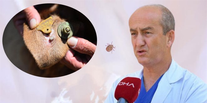 'Keneyi Japon yapıştırıcısıyla çıkarmaya çalışanlar var'