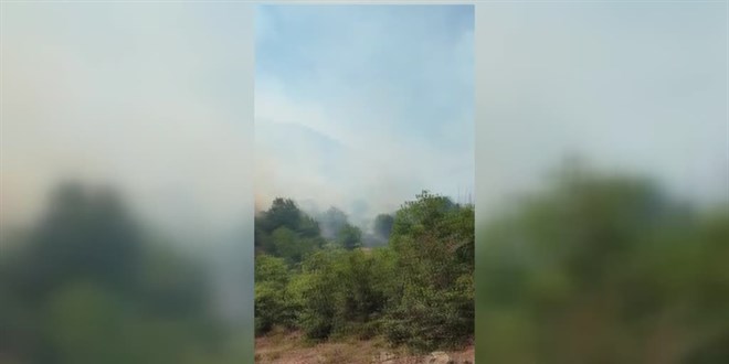 Balıkesir'de ormanlık alanda çıkan yangın kontrol altına alındı