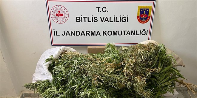 Bitlis'te 4 kilo 100 gram esrar ele geirildi