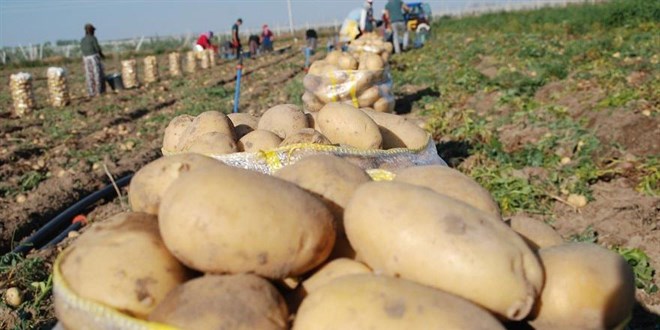 Patateste yeni zamlar kapda bekliyor
