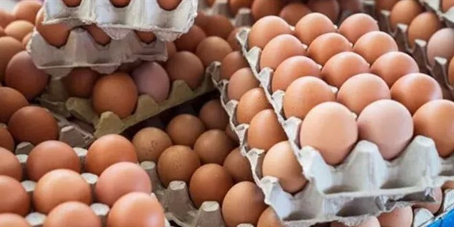 Yumurta fiyatı 50 TL'ye dayandı