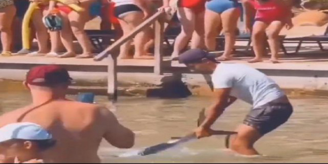 Balığı tokatla sersemletip kuyruğundan yakaladı