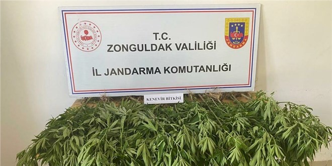 Zonguldak'ta uyuşturucu operasyonlarında 6 şüpheli yakalandı