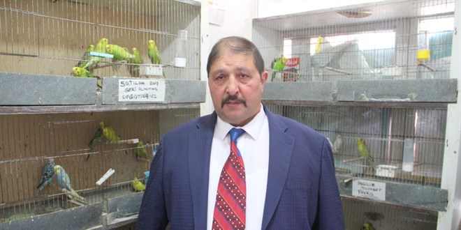 Petshoplar Kasaplar Odası'na bağlandı