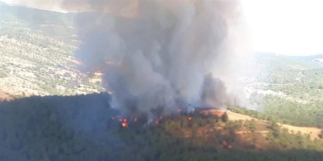 Çanakkale'de çıkan orman yangınına müdahale ediliyor