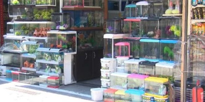 TVHB'dan açıklama: Petshoplar, Kasaplar Federasyonuna bağlanmadı