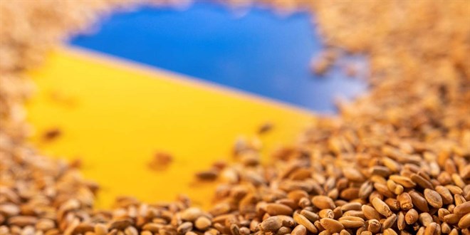 Ukrayna'da üç limanda tahıl kervanları oluşturulmaya başlandığı açıklandı