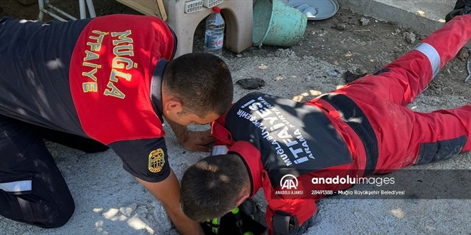 Muğla'da foseptiğe düşen köpek yavrusunu itfaiye çıkardı