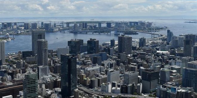 Japonya'da ilk maymun çiçeği vakası tespit edildi