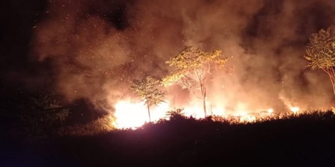 Kocaeli'de araba lastikleri ormanı yaktı! Alevler hızla büyüdü