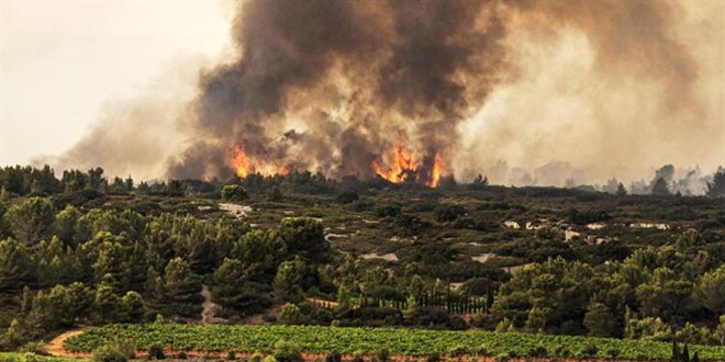 Fransa'da itfaiyeci, adrenalin ve tanınmak için orman yangını çıkartmış