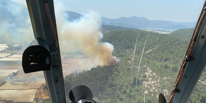 İzmir'de seraların bulunduğu bölgede çıkan yangın ormana sıçradı