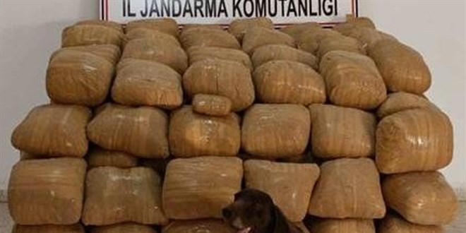 Bakan Soylu duyurdu Van'da 700 kilo esrar ele geçirildi