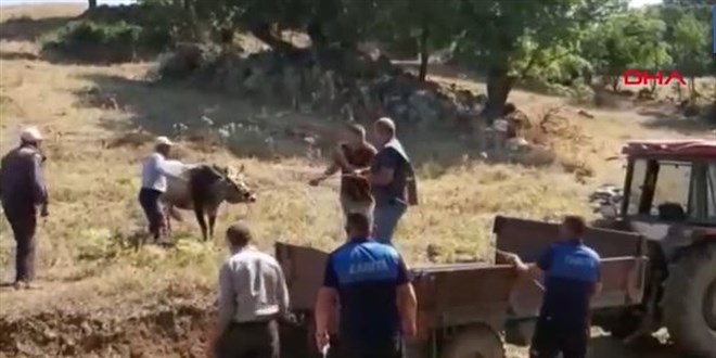 25 gün sonra bulunan boğası için Haluk Levent'ten 30 bin TL istedi