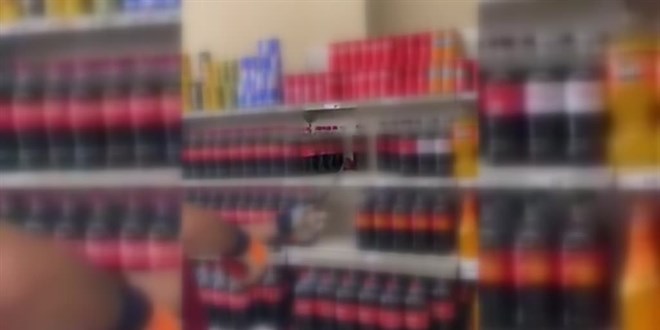 Yalova'da market rafında bulunan yılan doğaya bırakıldı