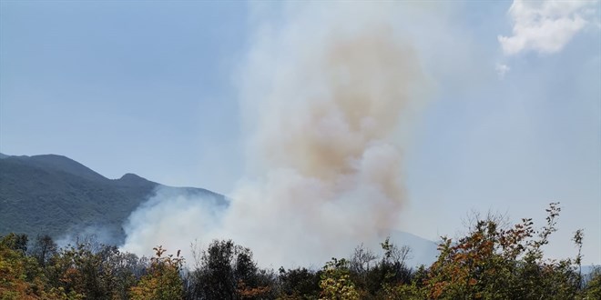 Bursa'da çıkan 2 orman yangını söndürüldü