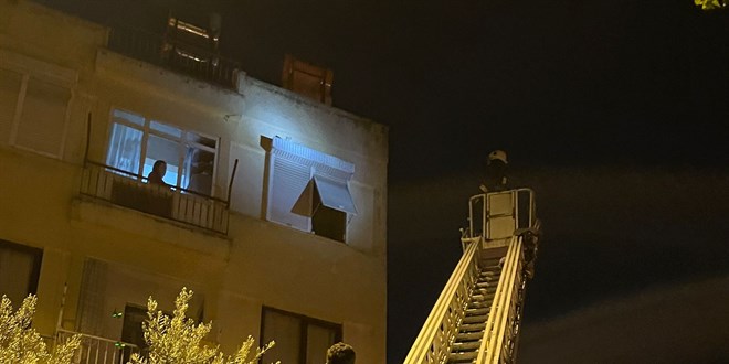 Antalya'da itfaiye ekibinin seferber olduğu kedi, 4. kattan atladı