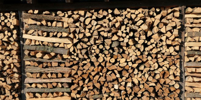 Avrupa odun depolamaya başladı