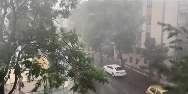 Başkentteki fırtına ve sağanak nedeniyle ağaçlar devrildi
