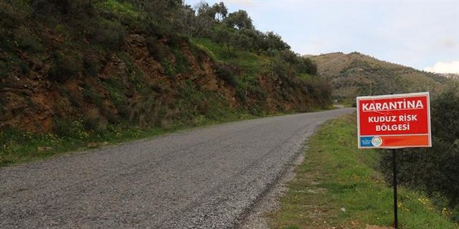 Tunceli'de bir köy kuduz karantinasına alındı