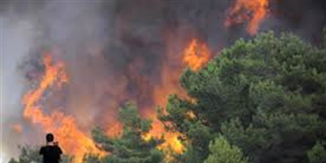 Bingöl'de çıkan orman yangını söndürüldü