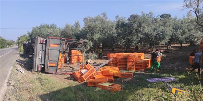 Bursa'da tır devrildi: Çok sayıda tavuk telef oldu
